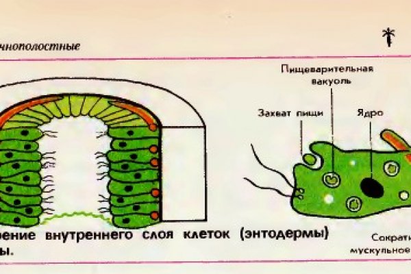 Как зайти на кракен тор