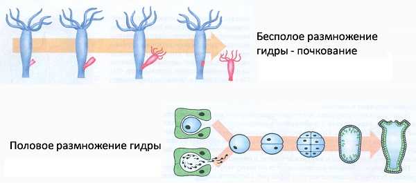 Кракен магазин наркотиков